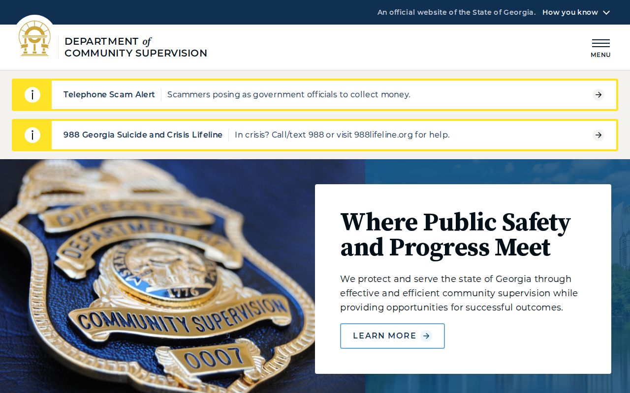 Kingsland criminal history Georgia community supervision channel